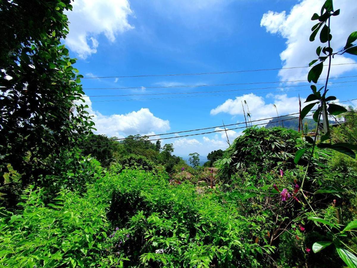 Sunbeam Homestay Ella Ngoại thất bức ảnh